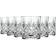 RCR Melodia Whiskyglas 24cl 6st