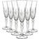 RCR Melodia Champagne Glass 16cl 6pcs