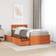 vidaXL 3281909 Sengeramme 95.5x205.5cm