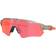 Oakley Radar EV Path - Prizm