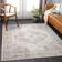 Langley Street Ailsa Grey, Beige 200x275cm