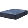 Serta Perfect Sleeper Cobalt Calm Queen Coil Spring Mattress