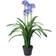 Leaf UK Realistic Agapanthus Light Blue Artificial Plant