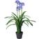 Leaf UK Realistic Agapanthus Light Blue Konstgjord växt