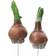 A Lot Decoration Flower Onion Stick Multicolor Dekoration 2st