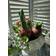 A Lot Decoration Flower Onion Stick Multicolor Dekoration 2st