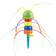 Vedes Splash & Fun Caterpillar