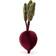 Jellycat Vivacious Vegetable Beetroot 22cm