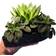 Minnas Dekorationer Heart Plant Pot