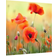 Klebefieber Red Summer Poppy Garde-boue 60cm