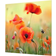 Klebefieber Red Summer Poppy Garde-boue 60cm