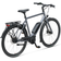 Batavus Razer E-Go LTD Low Entry 2023 Gray/Silver Damcykel