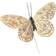 A Lot Decoration Butterfly Golden Pale Beige Dekoration