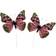 A Lot Decoration Butterfly Stitch Natural Pink Dekoration