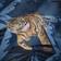 Charlotte Thomas Simply Tiger Duvet Cover Blue (200x135cm)