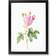 East Urban Home Agatha Roses In PInk Black Framed Art 45x63cm