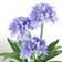 Leaf UK Realistic Agapanthus Light Blue Artificial Plant