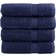 vidaXL Premium Hand 4pcs Bath Towel Blue (100x50cm)