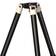 SkyWatcher Star Adventurer Tripod