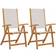 vidaXL Folding Garden Chairs 2 Garden Dining Chair