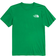The North Face Men’s Short Sleeve Box Nse Tee - Optic Emerald