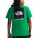 The North Face Men’s Short Sleeve Box Nse Tee - Optic Emerald