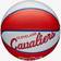 Wilson NBA Team Retro Mini Basketball