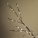 SnowTime Twig Tree Brown Christmas Lamp