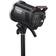 Godox MS300-V