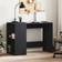 vidaXL 840542 Black Skrivebord 50x102cm