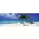 Heye Divi Tree 1000 Pieces