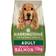 Harringtons Adult Dog Food Salmon and Potato 12kg