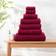Dunelm Ultimate Cerise Kitchen Towel Red (30x30cm)