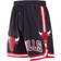 Pro Standard Men's Chicago Bulls Chenille Shorts