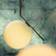 Flos Ic Lights S2 Gold Pendellampa 35.8cm