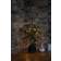 Konstsmide 1469-100 Green Lampada a Corda 30 Lampade