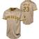 Nike Fernando Tatis Jr. San Diego Padres Alternate Limited Player Jersey