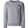 The North Face Redbox Regular Crew Sweatshirt - Light Grey Heather
