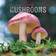 Carousel Calendars Marvellous Mushrooms Calendar 2025