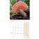 Carousel Calendars Marvellous Mushrooms Calendar 2025