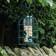 Samuel Alexander Market 2pk Wild Bird Seed Feeder Cage with Squirrel Proof Guard