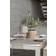 Watt & Veke Tess Natural Bordslampa 29cm