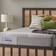 Sealy Medina Coil Spring Mattress