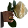 Pico Cleo Ring - Gold