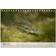 Calvendo Fascination Fishes Desk Calendar 2025 A5