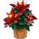 LEGO Icons Poinsettia 10370