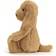 Jellycat Bashful Toffee Puppy 31cm