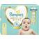 Pampers Premium Care Diapers Size 1 2-5kg 72pcs