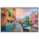 Longshore Tides Dreamy Alley Framed Art 152.4x101.6cm