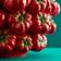 WERNS Tomatoes Red Vas 33.5cm